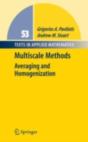 Multiscale Methods - Preview