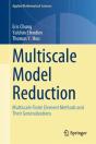 Multiscale Model Reduction - Preview
