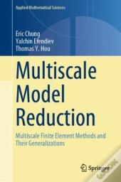 Multiscale Model Reduction