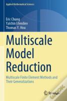 Multiscale Model Reduction
