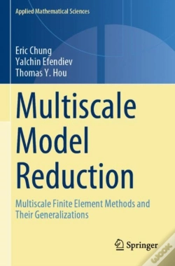 Capa do artigo Multiscale Model Reduction