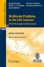 Multiscale Problems In The Life Sciences - Preview