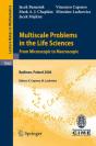 Multiscale Problems In The Life Sciences - Preview