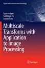 Multiscale Transforms With Application To Image Processing - Preview