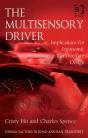 Multisensory Driver - Preview