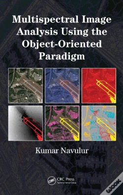 Capa do artigo Multispectral Image Analysis Using The Object-Oriented Paradigm