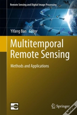 Capa do artigo Multitemporal Remote Sensing