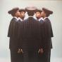 Multitude - Vinil - Preview