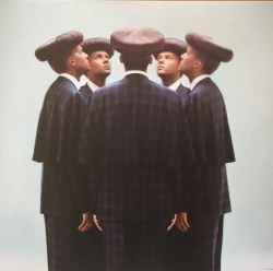 Capa do artigo Multitude - Vinil