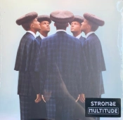 Capa do artigo Multitude - Vinil