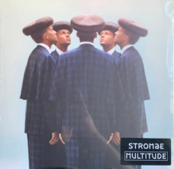 Capa do artigo Multitude - Vinil
