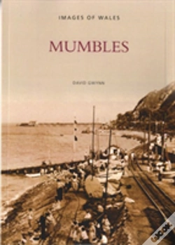 Capa do artigo Mumbles