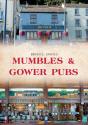 Mumbles & Gower Pubs - Preview