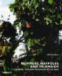 Mummers, Maypoles And Milkmaids - Preview