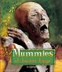 Mummies Of Ancient Egypt - Preview