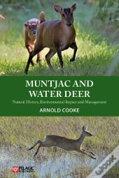 Muntjac And Water Deer