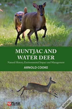 Capa do artigo Muntjac And Water Deer