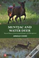 Muntjac And Water Deer