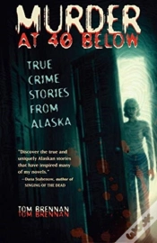 Capa do artigo Murder At 40 Below