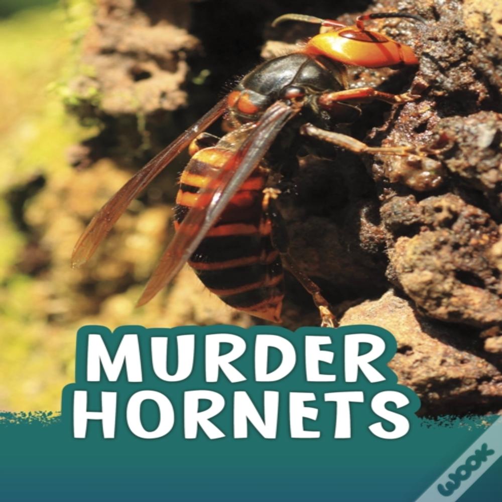 Murder Hornets