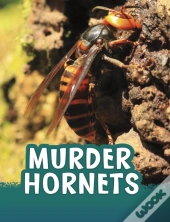 Murder Hornets