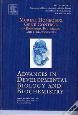 Capa do artigo Murine Homeobox Gene Control Of Embryonic Patterning And Organogenesis