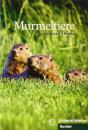 Murmeltiere Libro   - Preview