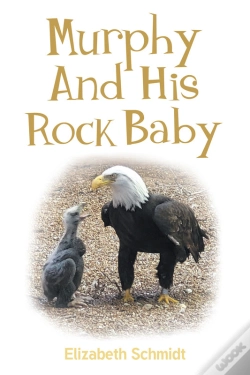 Capa do artigo Murphy And His Rock Baby