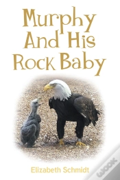 Capa do artigo Murphy And His Rock Baby