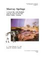 Murray Springs - Preview
