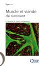 Muscle Et Viande De Ruminant - Preview