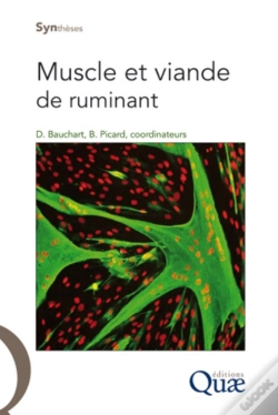 Capa do artigo Muscle Et Viande De Ruminant