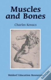 Capa do artigo Muscles And Bones
