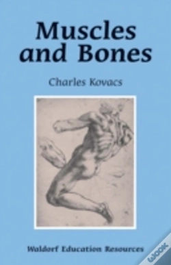 Capa do artigo Muscles And Bones