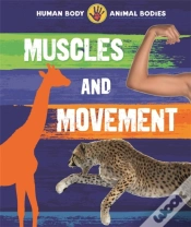 Capa do artigo Muscles And Movement
