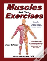 Muscles And Their Exercises
