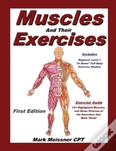 Muscles And Their Exercises