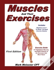 Capa do artigo Muscles And Their Exercises