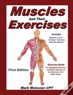 Capa do artigo Muscles And Their Exercises