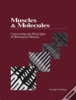 Capa do artigo Muscles & Molecules