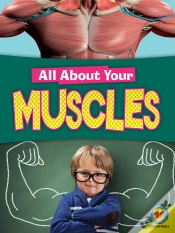 Capa do artigo Muscles