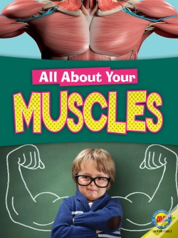 Capa do artigo Muscles