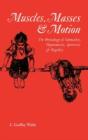 Muscles, Masses And Motion - Preview