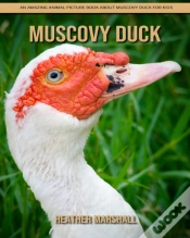 Capa do artigo Muscovy Duck