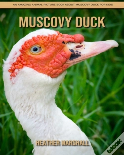 Capa do artigo Muscovy Duck