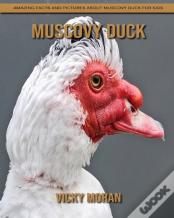 Muscovy Duck
