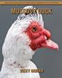 Muscovy Duck - Preview