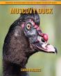 Muscovy Duck - Preview