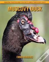 Capa do artigo Muscovy Duck