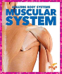 Muscular System - Preview